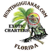 huntingiguanas.com huntingiguanas.com